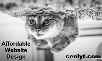 CENLYT Productions-ms designs Affordable Website Design