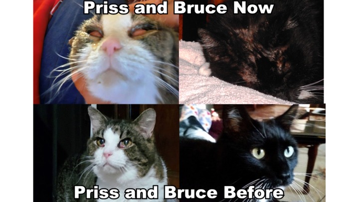 Priss and Bruce